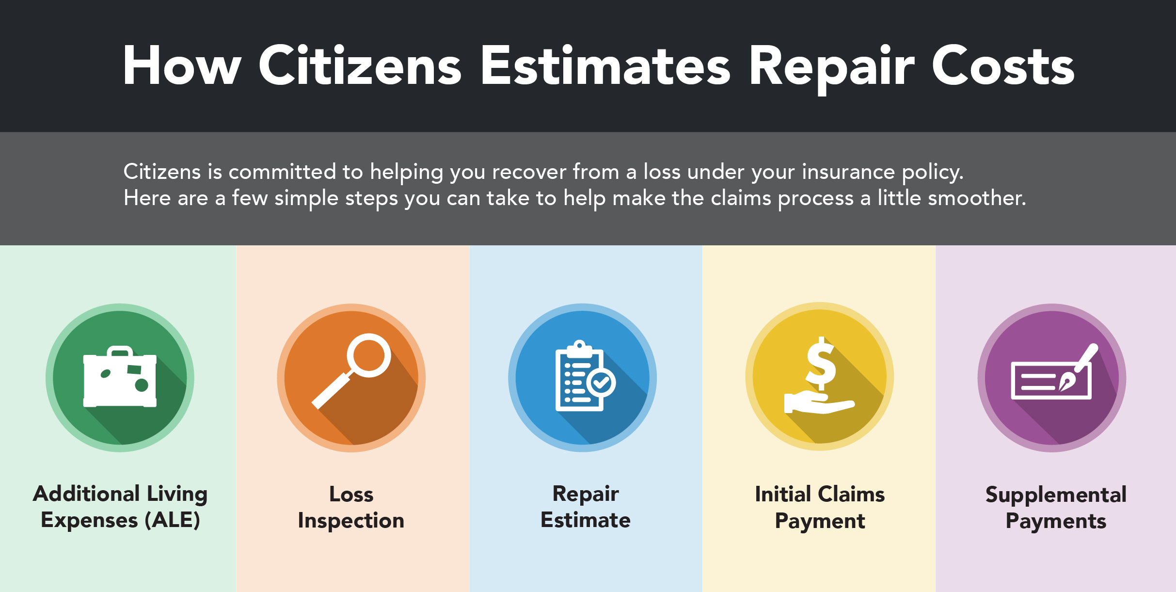 How Citizens Estimates Repair Costs infographic