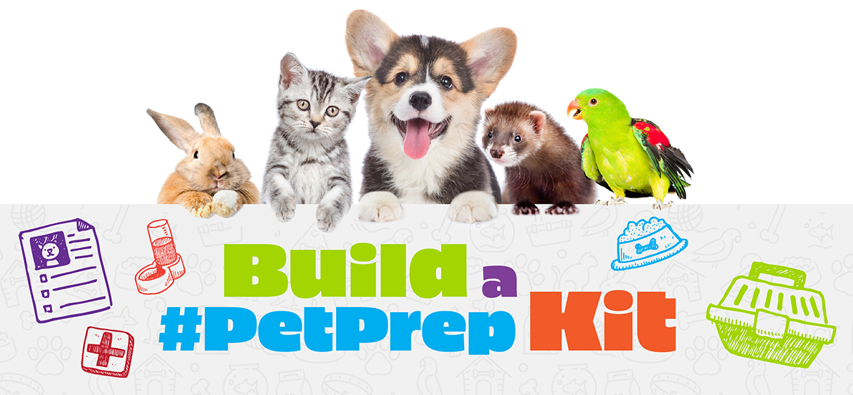Build a PetPrep Kit infographic