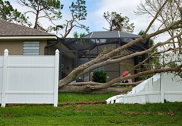 Home and fence showing damage from fallen tree