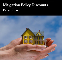 Mitigation Policy Discount