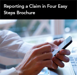 Reporting a Claim in Four Easy Steps